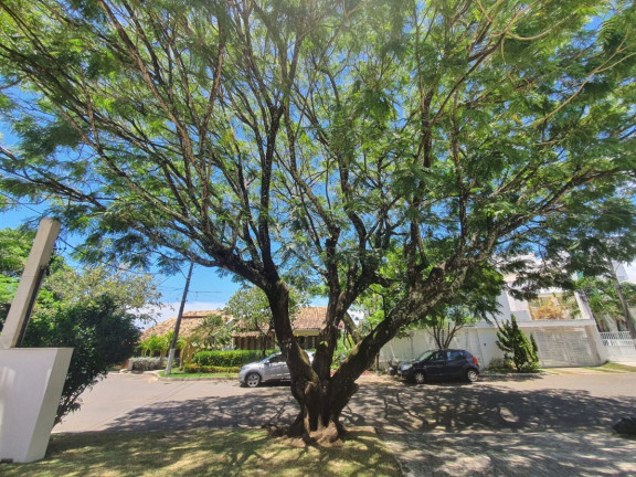 Imagem Casa de Condomínio com 4 Quartos à Venda, 520 m² em Piatã - Salvador Imagem Casa de Condomínio com 4 Quartos à Venda, 520 m² em Piatã - Salvador
