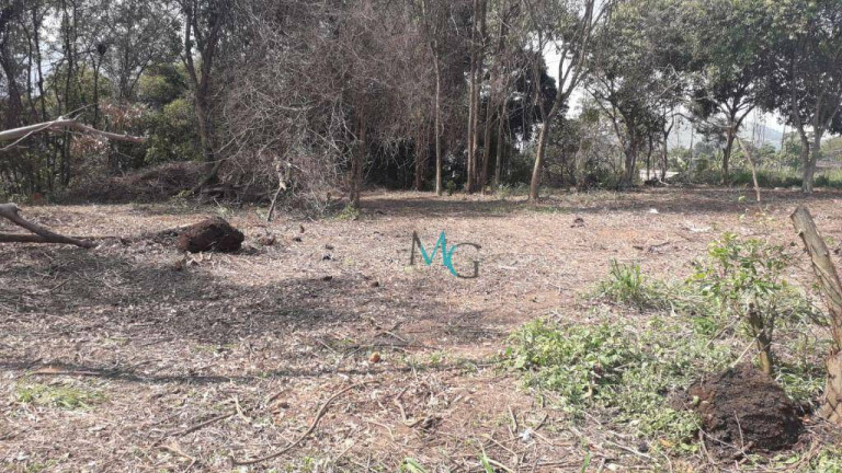 Imagem Imóvel para Alugar, 2.400 m² em Campo Grande - Rio De Janeiro Imagem Imóvel para Alugar, 2.400 m² em Campo Grande - Rio De Janeiro