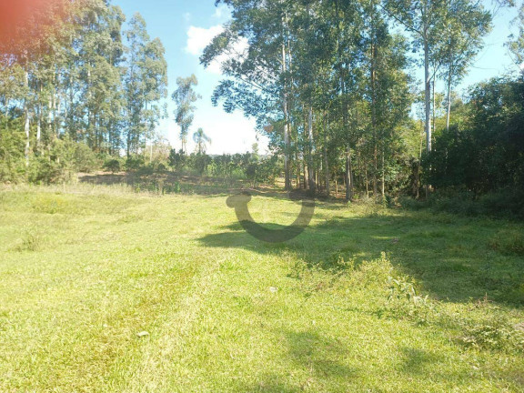 Imagem Chácara à Venda, 110 m² em Linha Travessa - Santa Cruz Do Sul