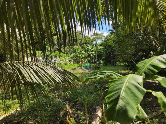 Imagem Imóvel à Venda, 7.339 m² em Campo Grande - Rio De Janeiro Imagem Imóvel à Venda, 7.339 m² em Campo Grande - Rio De Janeiro