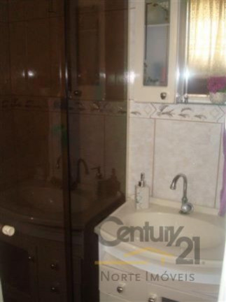Imagem Apartamento com 3 Quartos à Venda,  em Vila Amélia - São Paulo