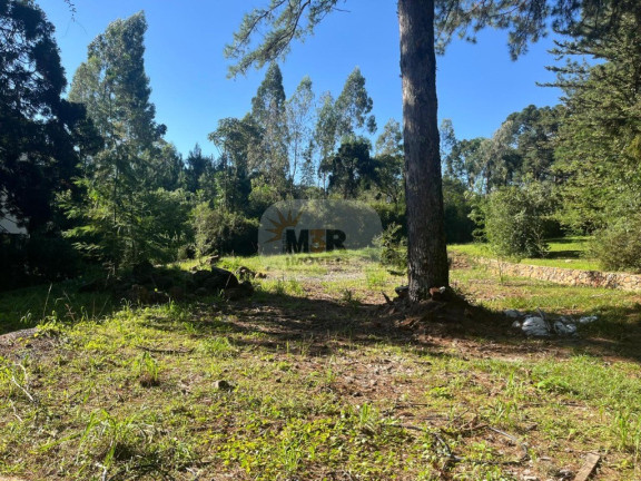 Imagem Terreno à Venda, 5.633 m² em Pousada Da Neve - Nova Petrópolis