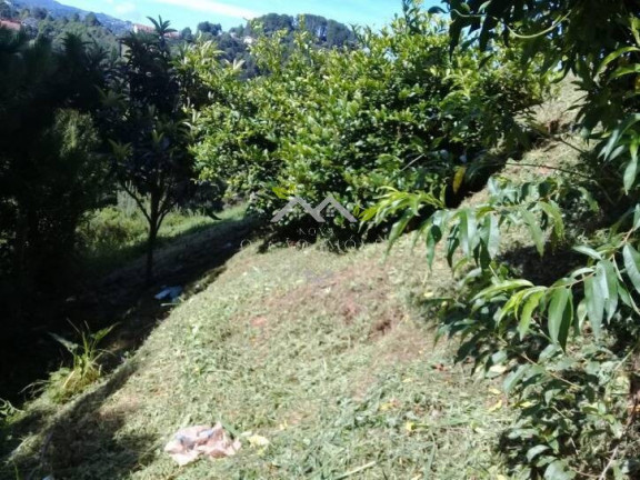 Imagem Casa com 1 Quarto à Venda, 50 m² em Jardim Embaixador - Campos Do Jordão Imagem Casa com 1 Quarto à Venda, 50 m² em Jardim Embaixador - Campos Do Jordão