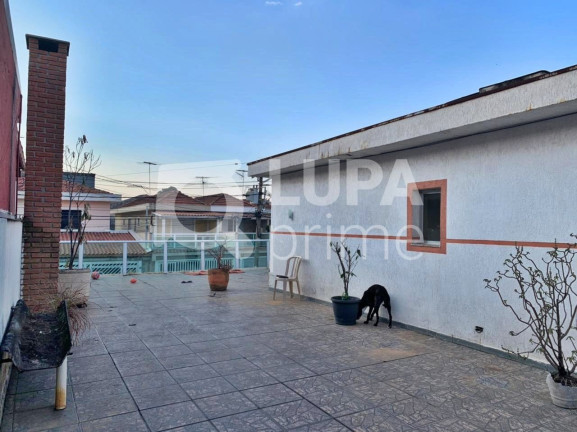 Imagem Casa com 3 Quartos à Venda, 200 m² em Jardim Guanca - São Paulo Imagem Casa com 3 Quartos à Venda, 200 m² em Jardim Guanca - São Paulo