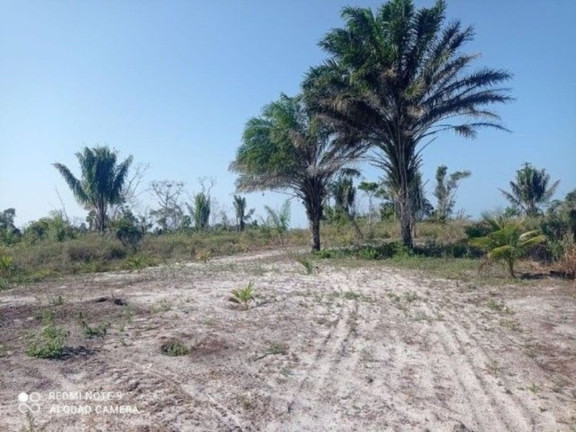 Imagem Fazenda à Venda, 400.000 m² em Ilha De Atalaia - Canavieiras Imagem Fazenda à Venda, 400.000 m² em Ilha De Atalaia - Canavieiras