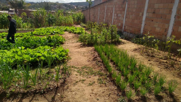 Imagem Terreno à Venda, 360 m² em Santinho - Ribeirão Das Neves