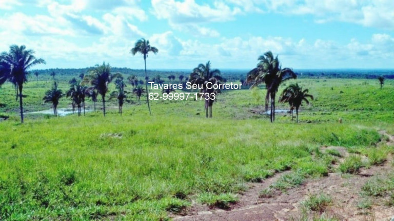 Imagem Imóvel à Venda, em Zona Rural - São Félix Do Xingu Imagem Imóvel à Venda, em Zona Rural - São Félix Do Xingu