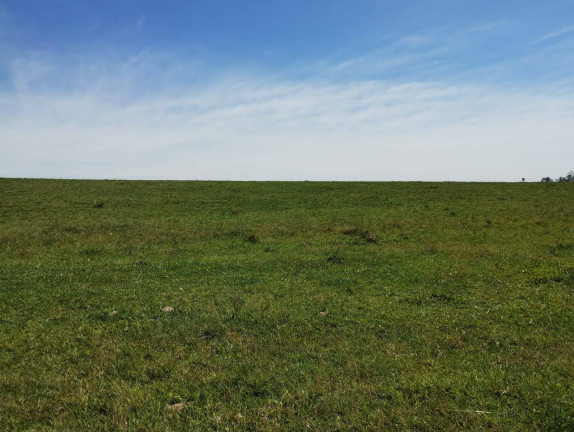 Imagem Chácara à Venda, 173 m² em Caju - Nova Santa Rita Imagem Chácara à Venda, 173 m² em Caju - Nova Santa Rita