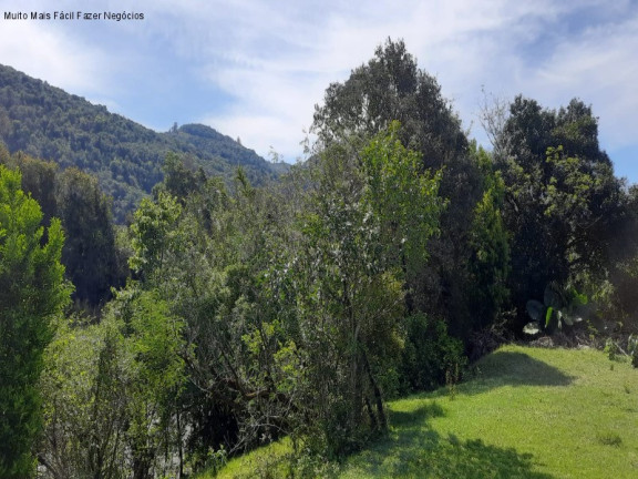 Imagem Terreno à Venda, 8 m² em Linha Temerária - Nova Petrópolis Imagem Terreno à Venda, 8 m² em Linha Temerária - Nova Petrópolis