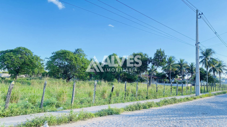 Imagem Terreno à Venda, 6.300 m² em Asa Branca - Feira De Santana