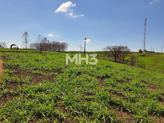 Imagem Terreno à Venda, 54.000 m² em Chácara Recreio Cruzeiro Do Sul - Santa Bárbara D'oeste