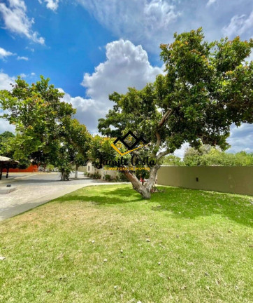 Imagem Terreno em Condomínio à Venda, 300 m² em Distrito De São José - Feira De Santana Imagem Terreno em Condomínio à Venda, 300 m² em Distrito De São José - Feira De Santana