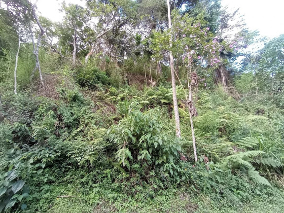 Imagem Terreno à Venda, 3.213 m² em Cascata Dos Amores - Teresópolis Imagem Terreno à Venda, 3.213 m² em Cascata Dos Amores - Teresópolis