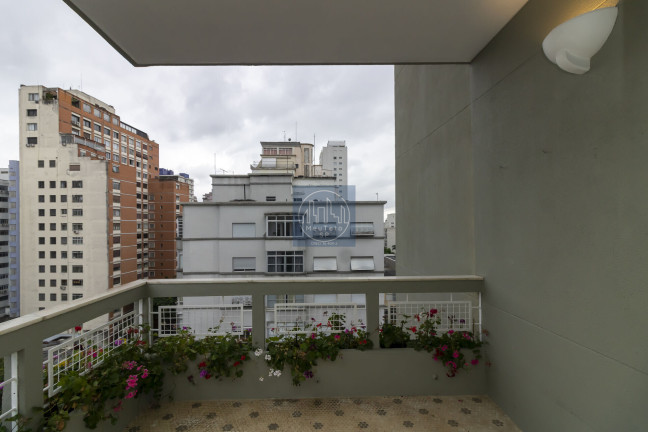 Imagem Apartamento com 3 Quartos à Venda, 239 m² em Higienópolis - São Paulo Imagem Apartamento com 3 Quartos à Venda, 239 m² em Higienópolis - São Paulo
