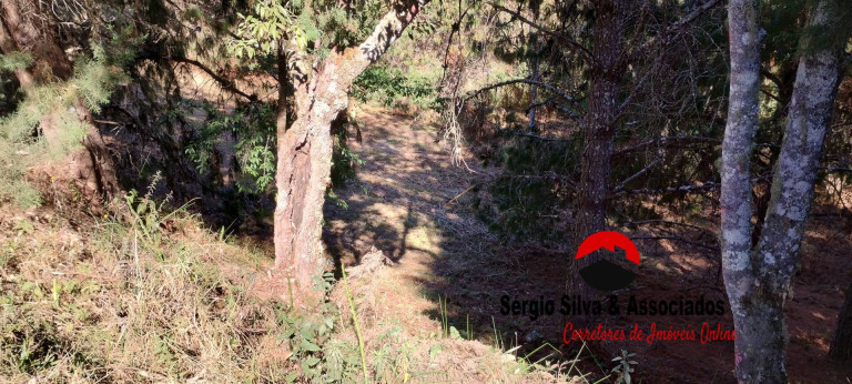 Imagem Terreno à Venda, 1 m² em Campos Do Jordão Imagem Terreno à Venda, 1 m² em Campos Do Jordão