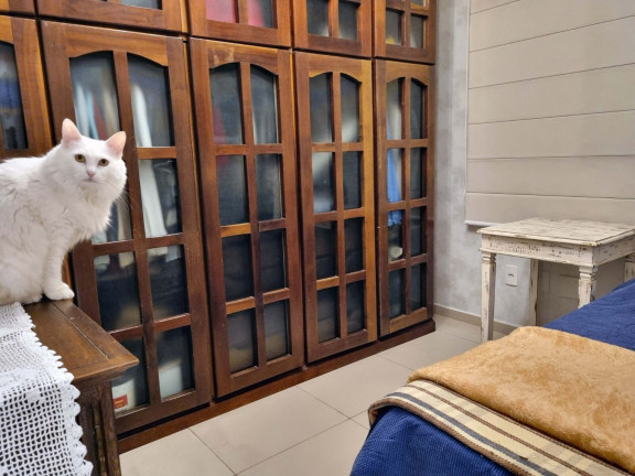 Imagem Apartamento com 3 Quartos à Venda, 82 m² em Gonzaga - Santos