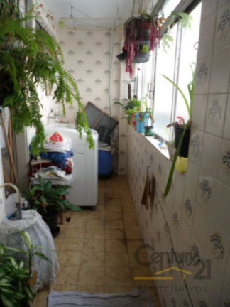 Imagem Apartamento com 3 Quartos à Venda, 85 m² em Tucuruvi - São Paulo Imagem Apartamento com 3 Quartos à Venda, 85 m² em Tucuruvi - São Paulo