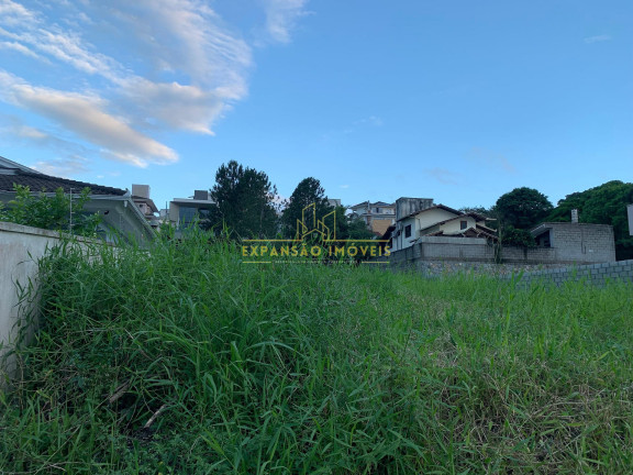 Imagem Terreno à Venda, 643 m² em Pedra Branca - Palhoça Imagem Terreno à Venda, 643 m² em Pedra Branca - Palhoça