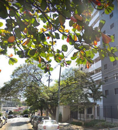 Imagem Apartamento com 3 Quartos à Venda, 75 m² em Cambuí - Campinas Imagem Apartamento com 3 Quartos à Venda, 75 m² em Cambuí - Campinas