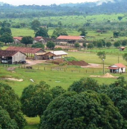 Imagem Imóvel com 3 Quartos à Venda, 149.515 m² em Centro - Rondolandia Imagem Imóvel com 3 Quartos à Venda, 149.515 m² em Centro - Rondolandia