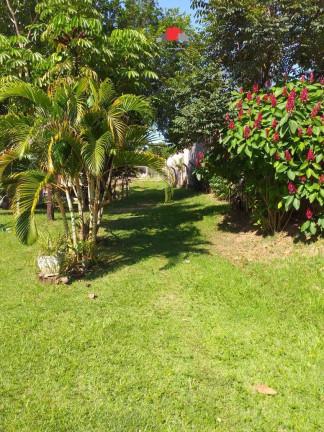 Imagem Chácara com 3 Quartos à Venda, 1.500 m² em Centro - Artur Nogueira