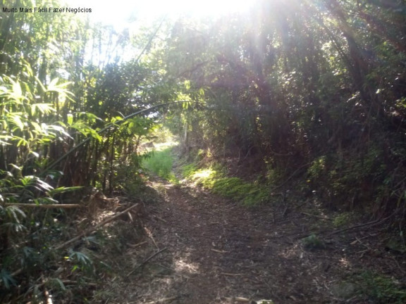 Imagem Terreno à Venda, 2 m² em Linha Temerária - Nova Petrópolis