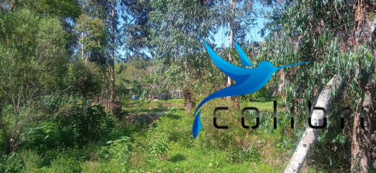Imagem Chácara com 3 Quartos à Venda, 10.300 m² em Agua Clara - Quitandinha