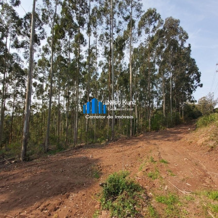 Imagem Imóvel Comercial à Venda, 9 m² em Integração - Garibaldi Imagem Imóvel Comercial à Venda, 9 m² em Integração - Garibaldi