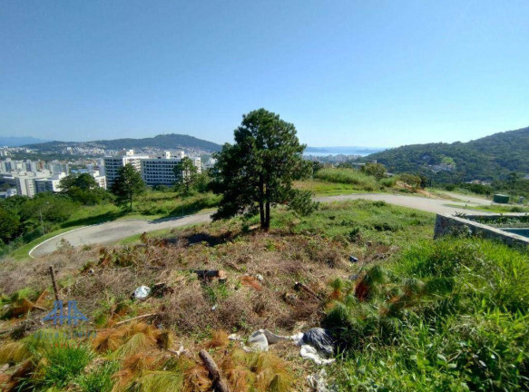 Imagem Terreno à Venda, 525 m² em Itacorubi - Florianópolis