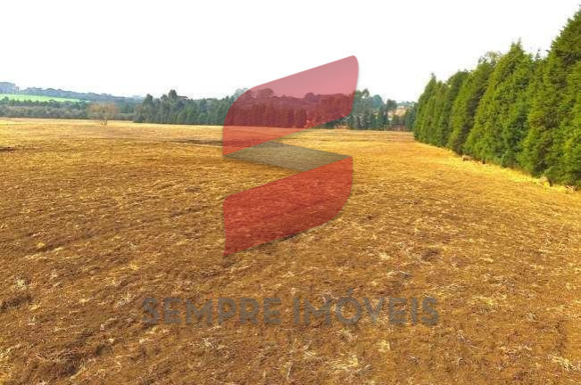 Terreno à Venda, 20.047 m² em Roseira - São José Dos Pinhais