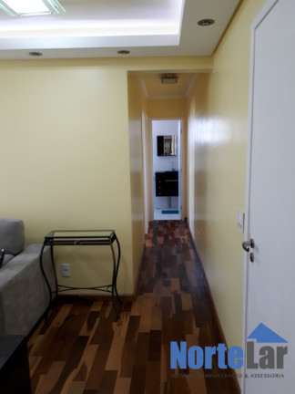 Imagem Apartamento com 2 Quartos à Venda, 48 m² em Vila Amélia - São Paulo