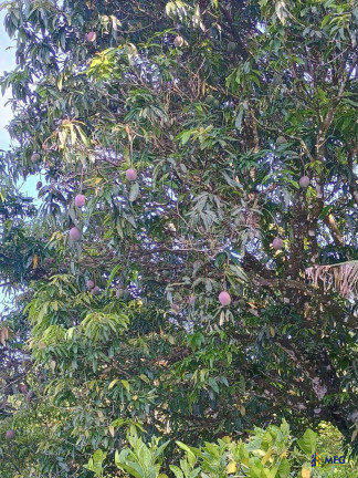 Imagem Chácara à Venda, 1.800 m² em Salto De Pirapora - Salto De Pirapora Imagem Chácara à Venda, 1.800 m² em Salto De Pirapora - Salto De Pirapora