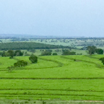 Imagem Fazenda à Venda, 4.530 m² em Rural - Camapuã Imagem Fazenda à Venda, 4.530 m² em Rural - Camapuã