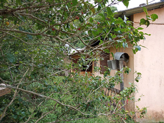 Imagem Casa à Venda, 36 m² em águas Claras - Viamão