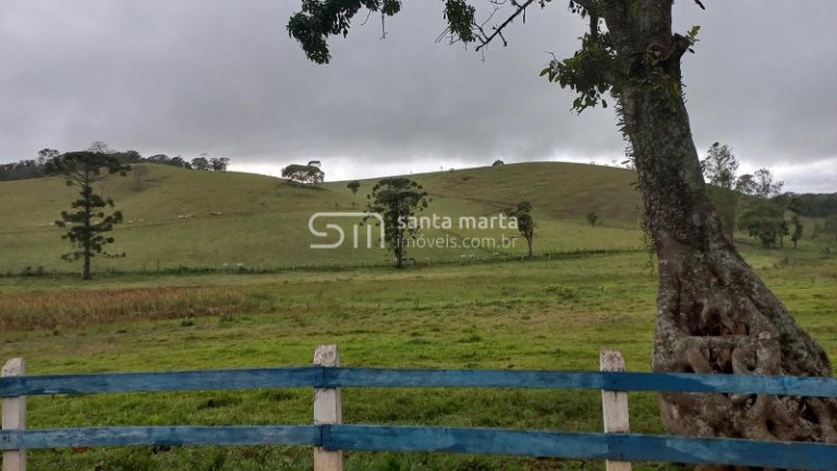 Imagem Imóvel com 5 Quartos à Venda, 375 m² em Pinhal Novo - Lorena
