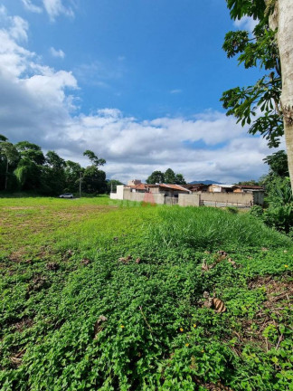 Imagem Terreno à Venda, 704 m² em Tifa Martins - Jaraguá Do Sul Imagem Terreno à Venda, 704 m² em Tifa Martins - Jaraguá Do Sul