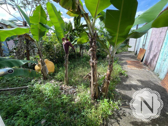 Imagem Terreno à Venda, 250 m² em Bopiranga - Itanhaém Imagem Terreno à Venda, 250 m² em Bopiranga - Itanhaém