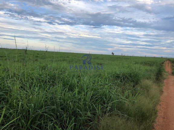 Imagem Fazenda à Venda, 15.000.000 m² em Zona Rural - Santa Rita De Cássia