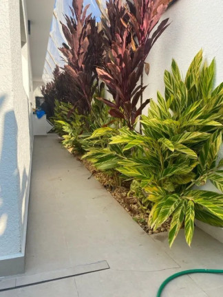 Imagem Casa de Condomínio com 3 Quartos à Venda, 400 m² em Parque Campolim - Sorocaba
