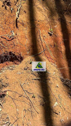 Imagem Fazenda à Venda, 3.388.000 m² em Pouso Alegre - Pouso Alegre Imagem Fazenda à Venda, 3.388.000 m² em Pouso Alegre - Pouso Alegre
