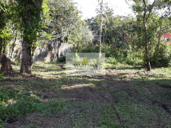 Imagem Terreno à Venda, 3.000 m² em Sertão Do Piavu - São Sebastião Imagem Terreno à Venda, 3.000 m² em Sertão Do Piavu - São Sebastião