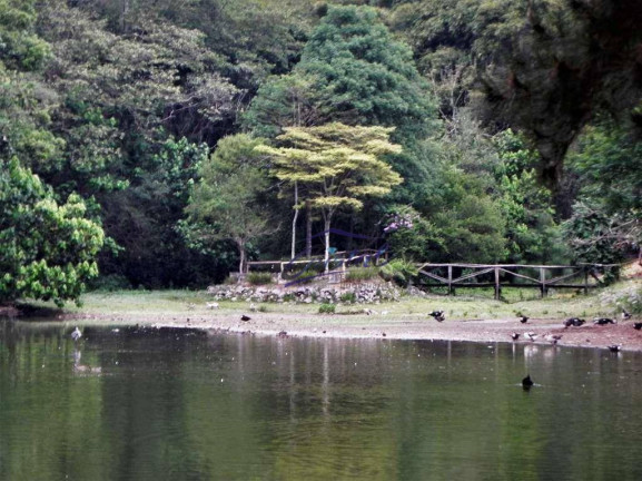 Imagem Terreno à Venda, 2.282 m² em Granja Viana - Cotia Imagem Terreno à Venda, 2.282 m² em Granja Viana - Cotia