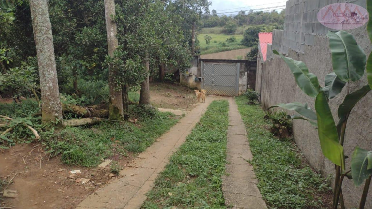 Imagem Imóvel com 3 Quartos à Venda, 47 m² em Chácara Recreio Internacional - Suzano