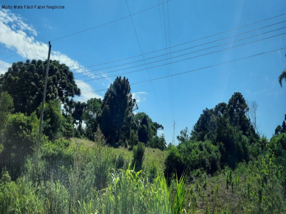 Imagem Terreno à Venda, 13 m² em Linha Olinda - Nova Petrópolis Imagem Terreno à Venda, 13 m² em Linha Olinda - Nova Petrópolis