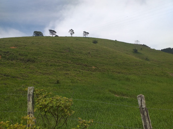 Imagem Fazenda à Venda, 1.930.000 m² em Centro - Trajano De Morais