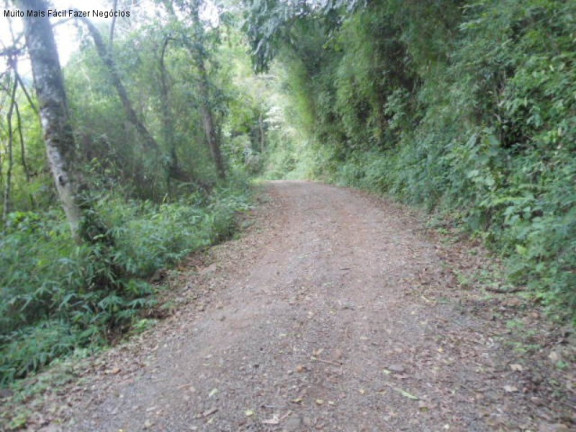 Imagem Terreno à Venda, 3 m² em São José Do Caí - Nova Petrópolis Imagem Terreno à Venda, 3 m² em São José Do Caí - Nova Petrópolis