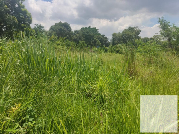 Imagem Terreno à Venda, 250 m² em Guaratiba - Rio De Janeiro Imagem Terreno à Venda, 250 m² em Guaratiba - Rio De Janeiro