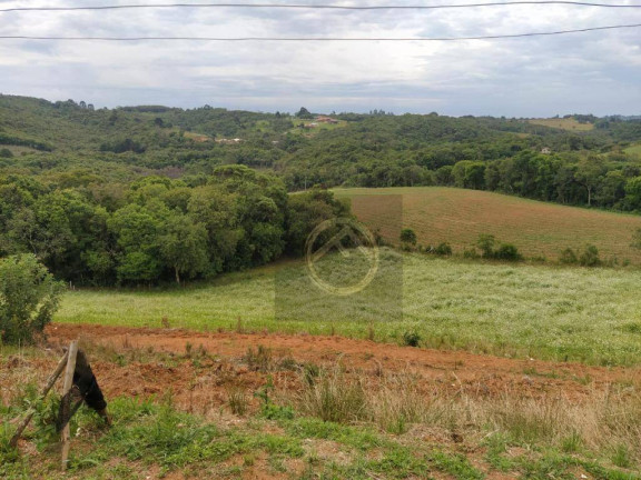 Chácara com 4 Quartos à Venda, 38.000 m² em Roça Velha - São José Dos Pinhais