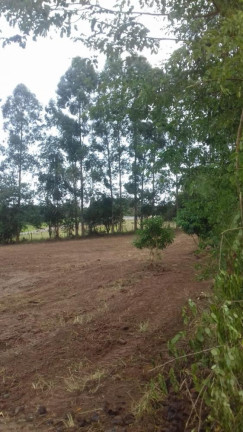 Imagem Imóvel com 1 Quarto à Venda, 8.177 m² em Tijuco Preto - Quadra