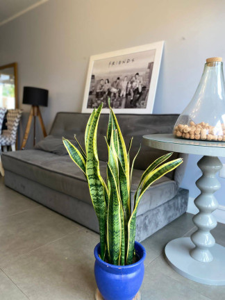 Imagem Casa com 3 Quartos à Venda, 70 m² em Noiva Do Mar - Xangri-lá